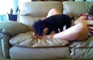 Con chó liếm lồn cô gái trên ghế dài